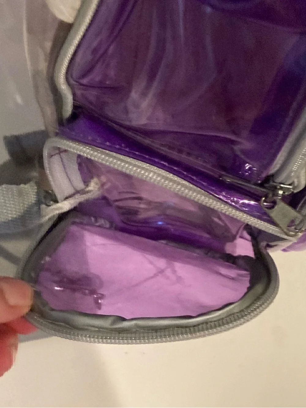 Vintage Purple Vinyl Transparent Backpack